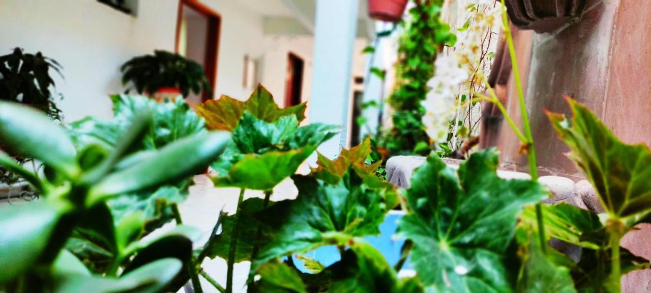 Hotel Posada Laura San Juan del Río Екстериор снимка