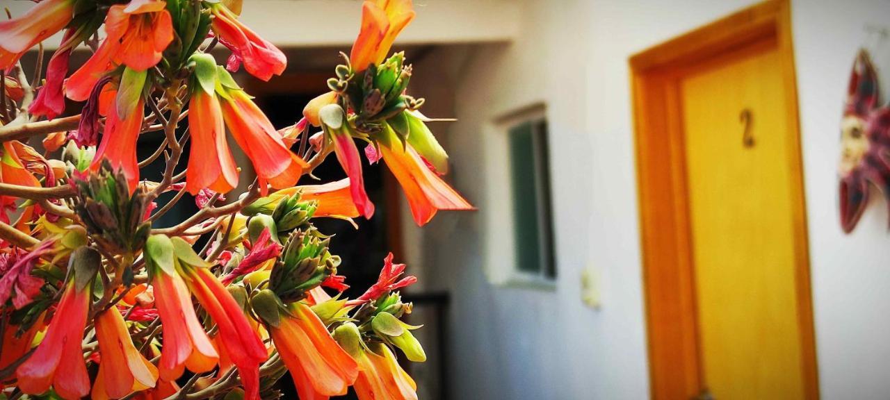 Hotel Posada Laura San Juan del Río Екстериор снимка
